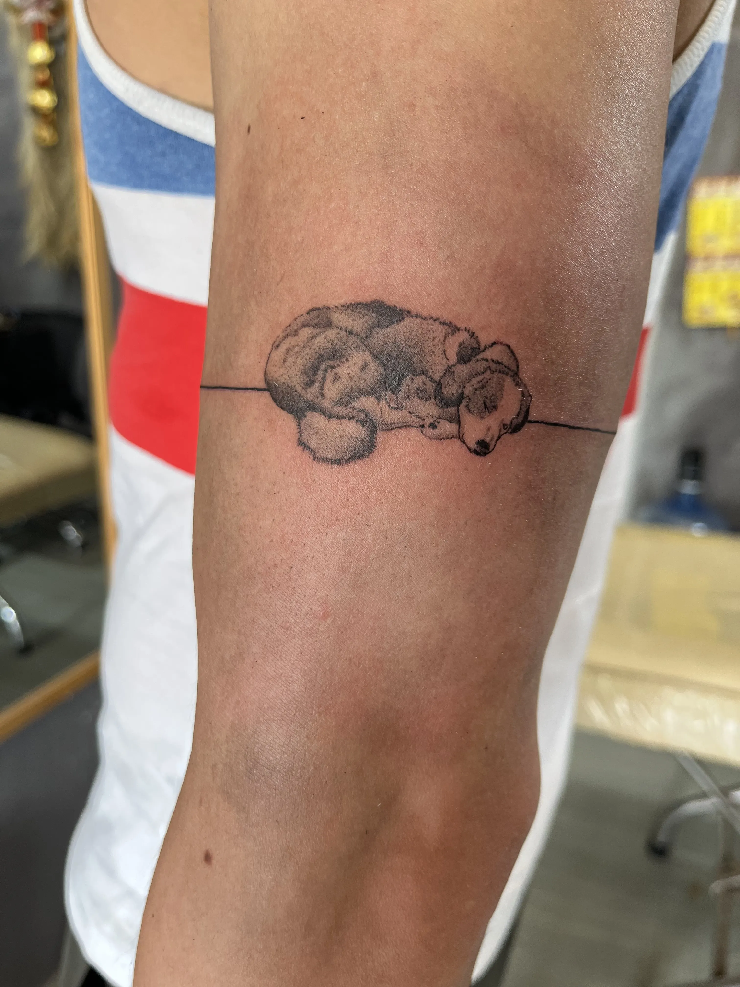 FineLineDotwork
